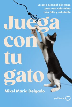 ¡JUEGA CON TU GATO!