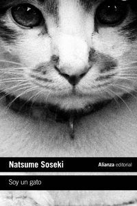 SOY UN GATO L251