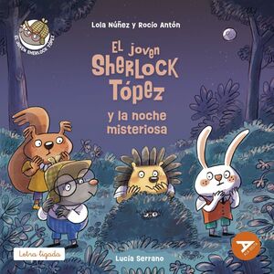 JOVEN SHERLOCK TÓPEZ Y LA NOCHE MISTERIOSA, EL