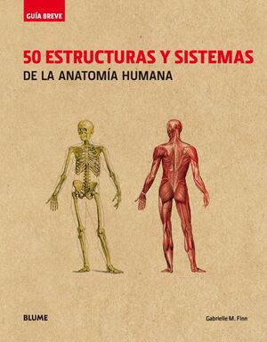 50 ESTRUCTURAS Y SISTEMAS DE LA ANATOMIA