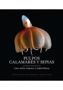 PULPOS, CALAMARES Y SEPIAS