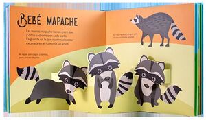 BEBÉS ANIMALES 10 POP UPS