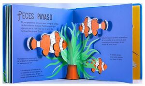 OCÉANO 10 POP UPS