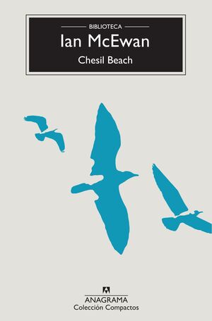 CHESIL BEACH 480