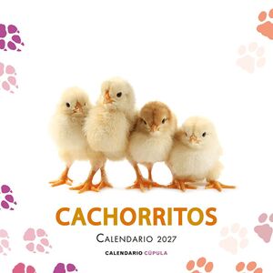 CALENDARIO CACHORROS 2027