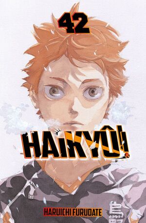 HAIKYU!! Nº 42/45